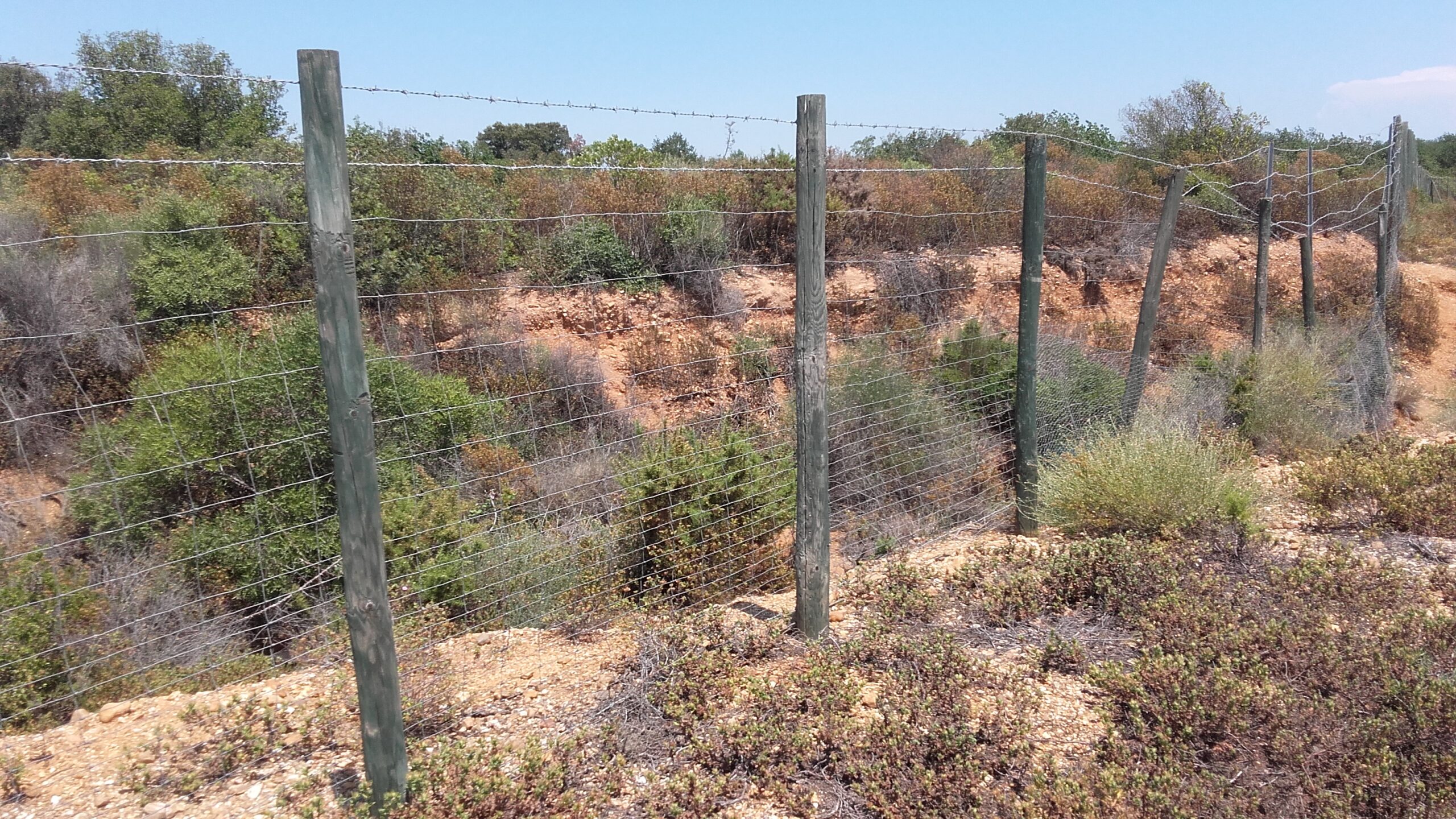 Alt text : Ancienne clôture grillagée sur poteaux bois vieillissante avant remplacement à l'aéroport de Béziers Cap d'Agde