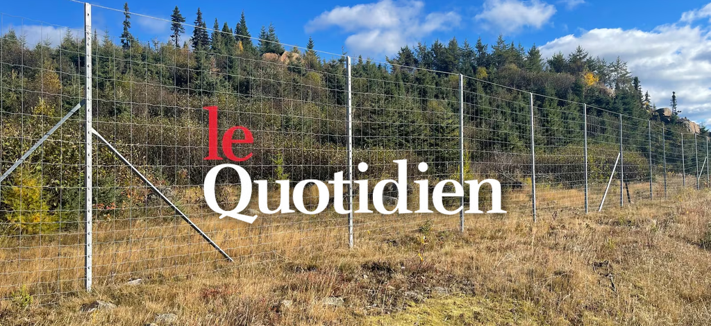 Clôture de protection en treillis métallique installée dans un champ en bordure de forêt boréale, avec le logo du journal Le Quotidien