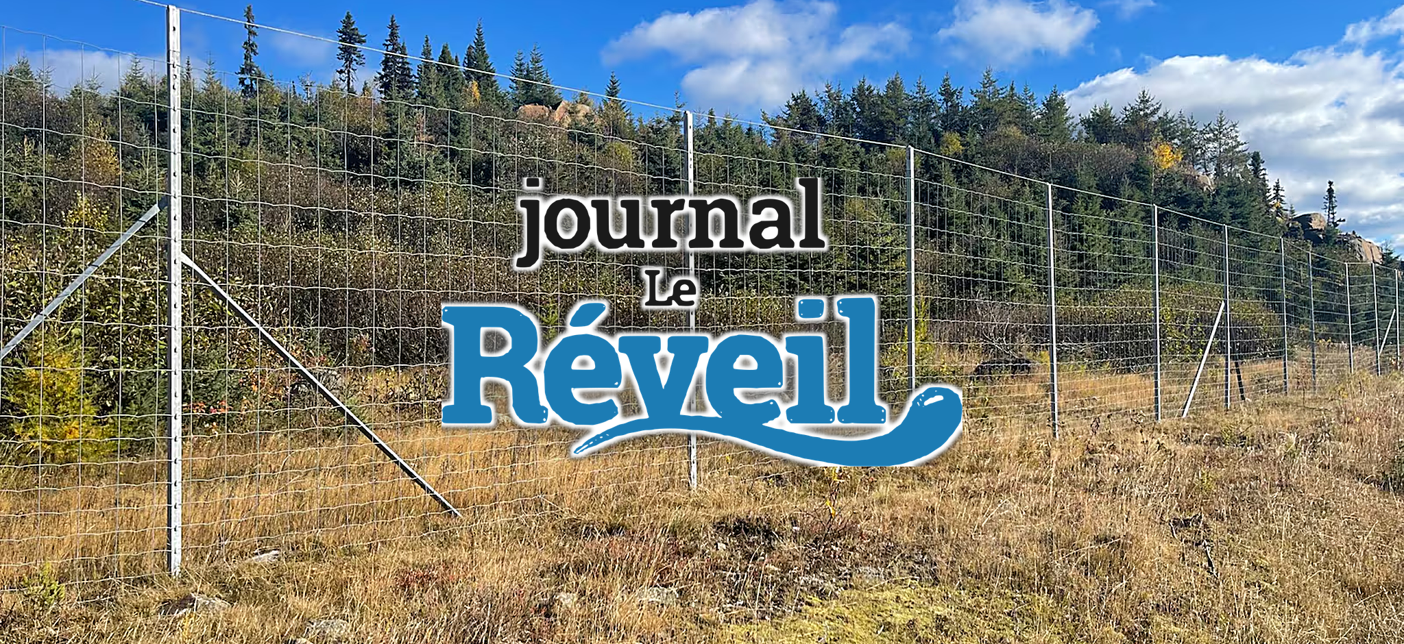 Clôture de protection en treillis métallique installée dans un champ en bordure de forêt boréale, avec le logo du journal Le Réveil